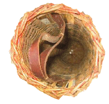 vue intrieure panier obus 15 cm