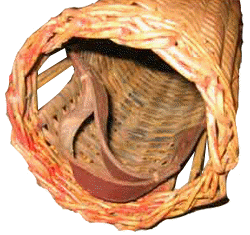 vue intrieure panier obus 15 cm